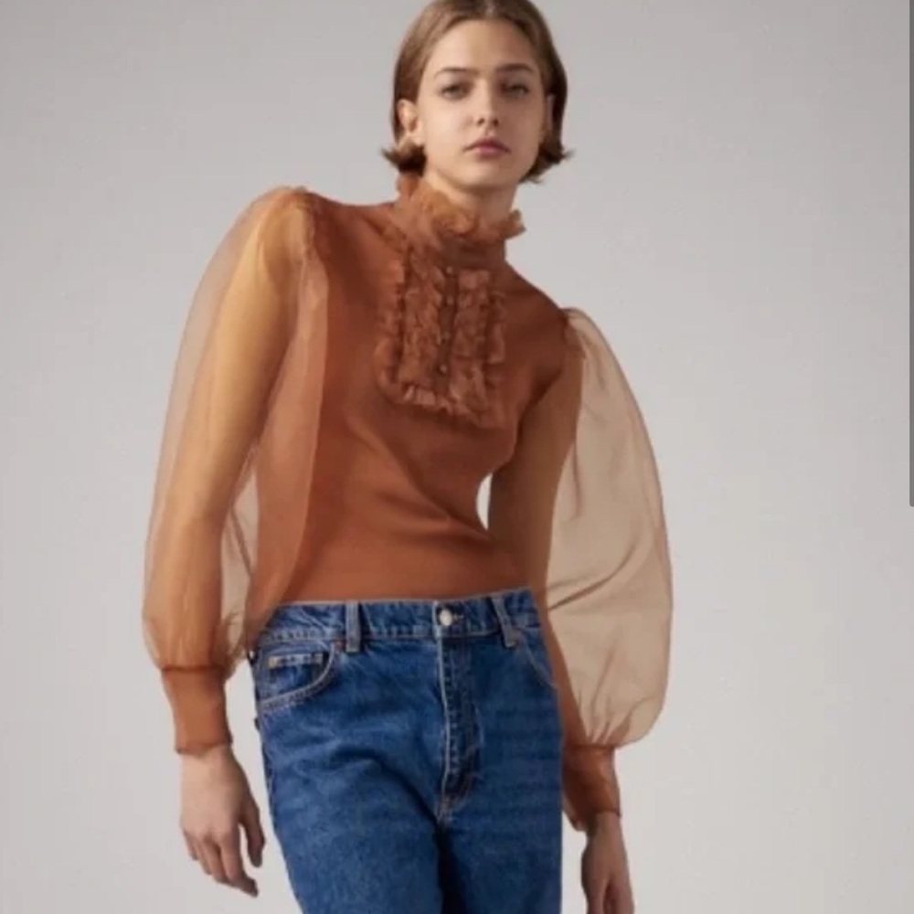 Zara Organza High Neck Knit Top